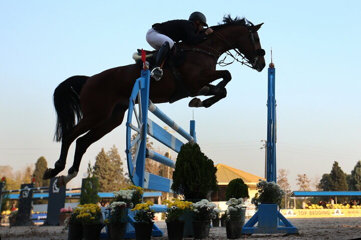 مسابقات کشوری پرش با اسب در البرز