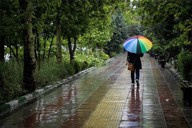 عکس/ باران بهاری