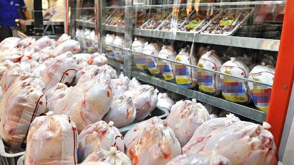 صادرات ۸ هزار تُن مرغ